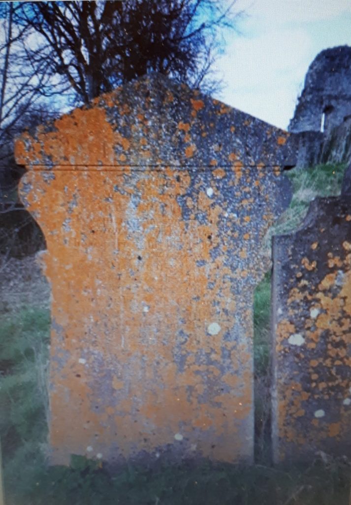 Grave of Willliam Perkin, died 1852. St Finian`s Graveyard, Dublin